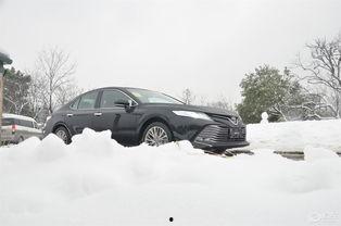 吃瓜娱乐圈camry,揭秘Camry的瓜田传奇